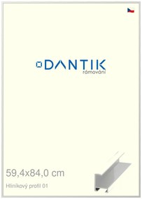 DANTIK rám na obraz 59,4x84 | ALU Stříbrná lesklá (Plexi Čiré)
