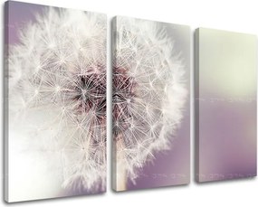 Obraz na stenu 3 dielny KVETY KV065E30 - 90x60 cm