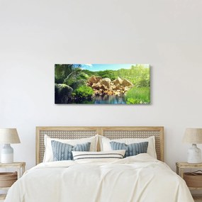 Obraz jazera v Seychelskej džungli (120x50 cm)