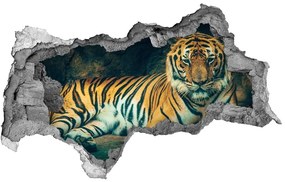 Diera 3D fototapeta nálepka Tiger cave nd-b-121530926