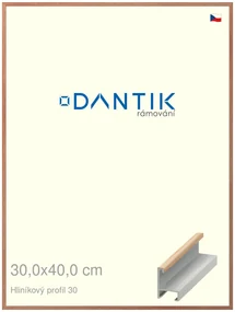 DANTIK rám na obraz 30x40 | ALU Dýha dub lak matný (Plexi Čiré)