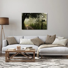Obraz rannej hmly (90x60 cm)