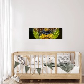Detailný obraz očí hmyzu (s hodinami) (90x30 cm)