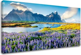 Obraz na stenu LÚKA_047-13