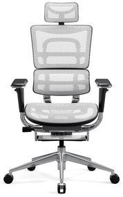 Ergonomické kreslo Diablo V-Master, čierno-biele
