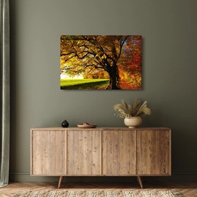 Obraz jesene (90x60 cm)