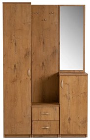 Predsieňová stena Narcis, dub lancelot