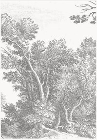 Vliesová tapeta Engraved Landscapes V