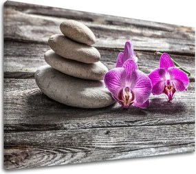 Obraz na plátne FENG SHUI_060-11