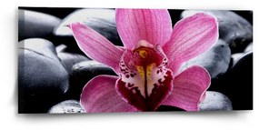 Sablio Obraz Ružová orchidea - 110x50 cm
