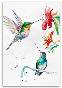 Gario Obraz na plátne Kolibríky - Dorota Martyńska Rozmery: 70 x 100 cm