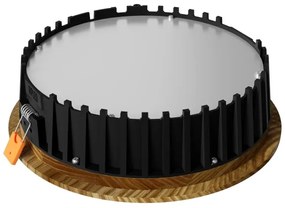 APLED - LED Podhľadové RONDO WOODLINE LED/6W/230V 4000K pr. 15 cm jaseň masív