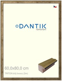 DANTIK rám na obraz 60x80 | TRITON bílý bronz (Plexi Čiré)