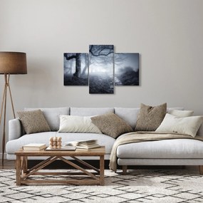 Obraz - Cesta v hmle (90x60 cm)