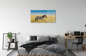 Sklenený obraz Zebra box 125x50 cm