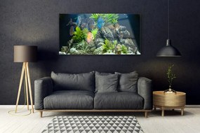 Obraz plexi Ryba kamene listy príroda 120x60 cm