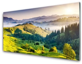 Obraz na skle Hora pole hmla príroda 100x50 cm