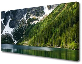 Obraz Canvas Jazero les hory príroda 140x70 cm