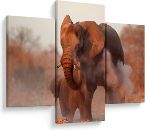 Obraz - Veľký slon africký (90x60 cm)