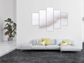 Obraz - Biele pierko (150x105 cm)