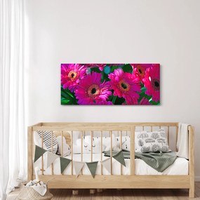 Obraz - kvety (120x50 cm)