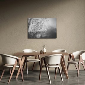 Obraz - Lúka po daždi (70x50 cm)