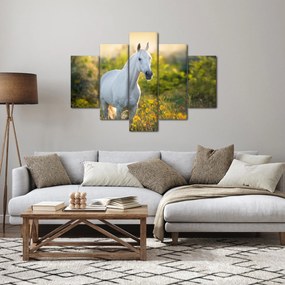 Obraz bieleho koňa na lúke (150x105 cm)