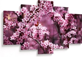 Obraz - Ružová sakura (150x105 cm)