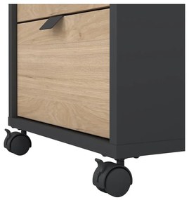 Skrinka v dekore duba v antracitovo-prírodnej farbe 41x61 cm Sign – Tvilum