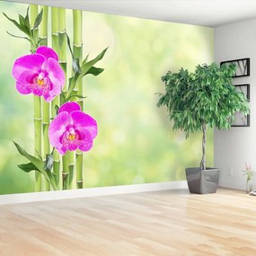 Fototapeta Vliesová Orchidea a bambus 208x146 cm