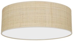 Stropné svietidlo MARSHALL 3xE27/60W/230V