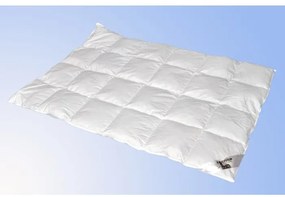 Perový paplón s páperím standard - 200x140cm