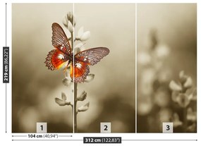 Fototapeta Vliesová Motýľ kvety 208x146 cm