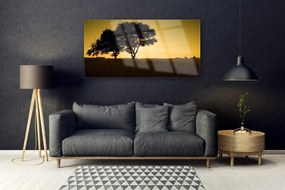 Obraz na akrylátovom skle Stromy príroda rastlina 120x60 cm