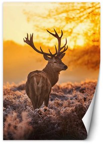 Gario Fototapeta Jeleň pri západe slnka Materiál: Vliesová, Rozmery: 150 x 210 cm