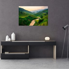 Obraz - Ryžové terasy II. (90x60 cm)