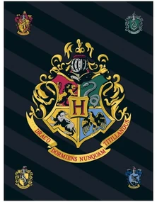 Fleecová deka Harry Potter s erbom školy čarodejníckej na Rokforte - Polar Fleece - 100 x 140 cm