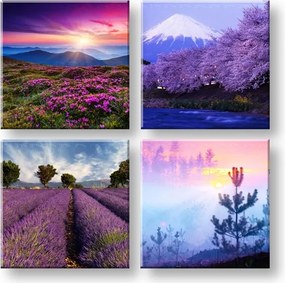 Obraz na stenu Everywhere purple 4 dielny XOBKOL21E42