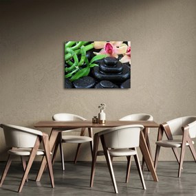 Obraz - Kamene a orchidey (70x50 cm)
