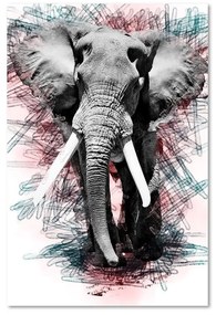 Obraz na plátně Slon Abstrakt Afrika - 80x120 cm