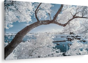 Obraz zasneženého stromu pri vode (90x60 cm)