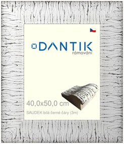 DANTIK rám na obraz 40x50 | SAUDEK Bílá černé čáry (Sklo Čiré)