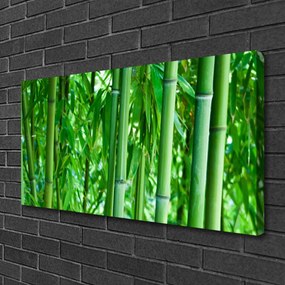 Obraz na plátne Bambus stonka rastlina 100x50 cm
