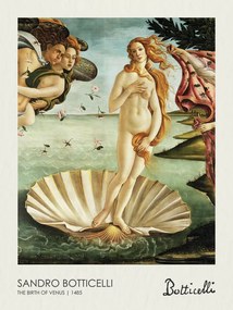 Obrazová reprodukcia The Birth of Venus (1485), Sandro Botticelli