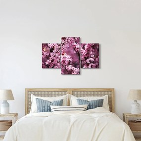 Obraz - Ružová sakura (90x60 cm)