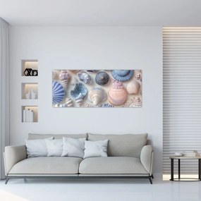 Obraz - Zbierka mušlí (120x50 cm)