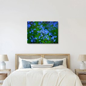 Obraz modrých kvetín (70x50 cm)