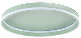 Toolight Toolight, LED stropné svietidlo 40cm, 4000 lm, 22W, 4000K, APP1463, zelená, OSW-08641