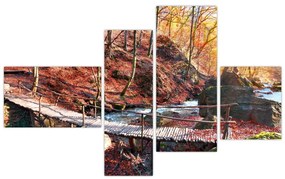 Obraz mosta - jesenné cesta lesom