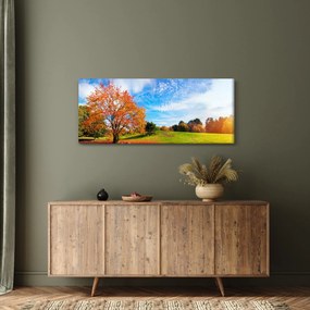 Obraz - Jesenná krajina (120x50 cm)